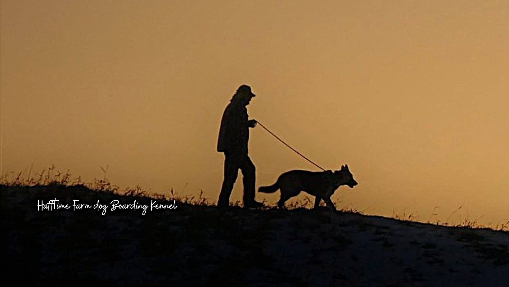 Hafftime Farm Dog Boarding Kennel
