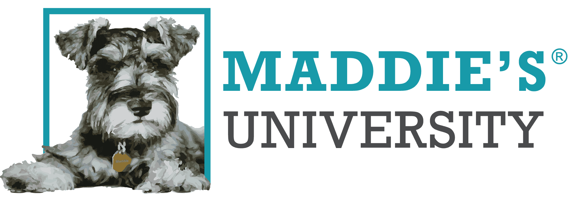 Maddie's University Logo
